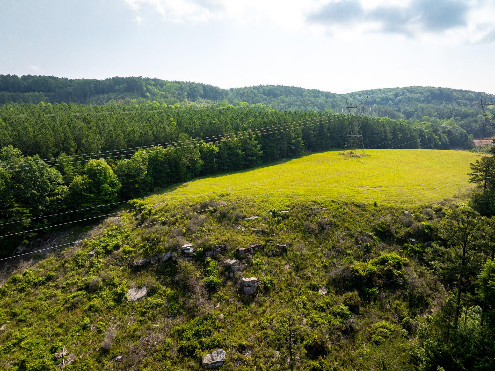 0 Split Rail Way, Unit LOT 1193 Guild, TN 37340 - Photo 13 of 30 13-web-or-mls-DJI_20250604075338_0921_D-