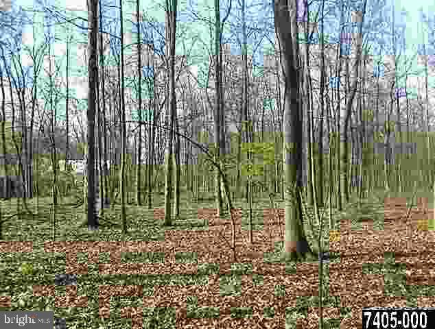 2 Roberts Road, Unit 2 Littlestown, PA 17340 - Photo 4 of 7