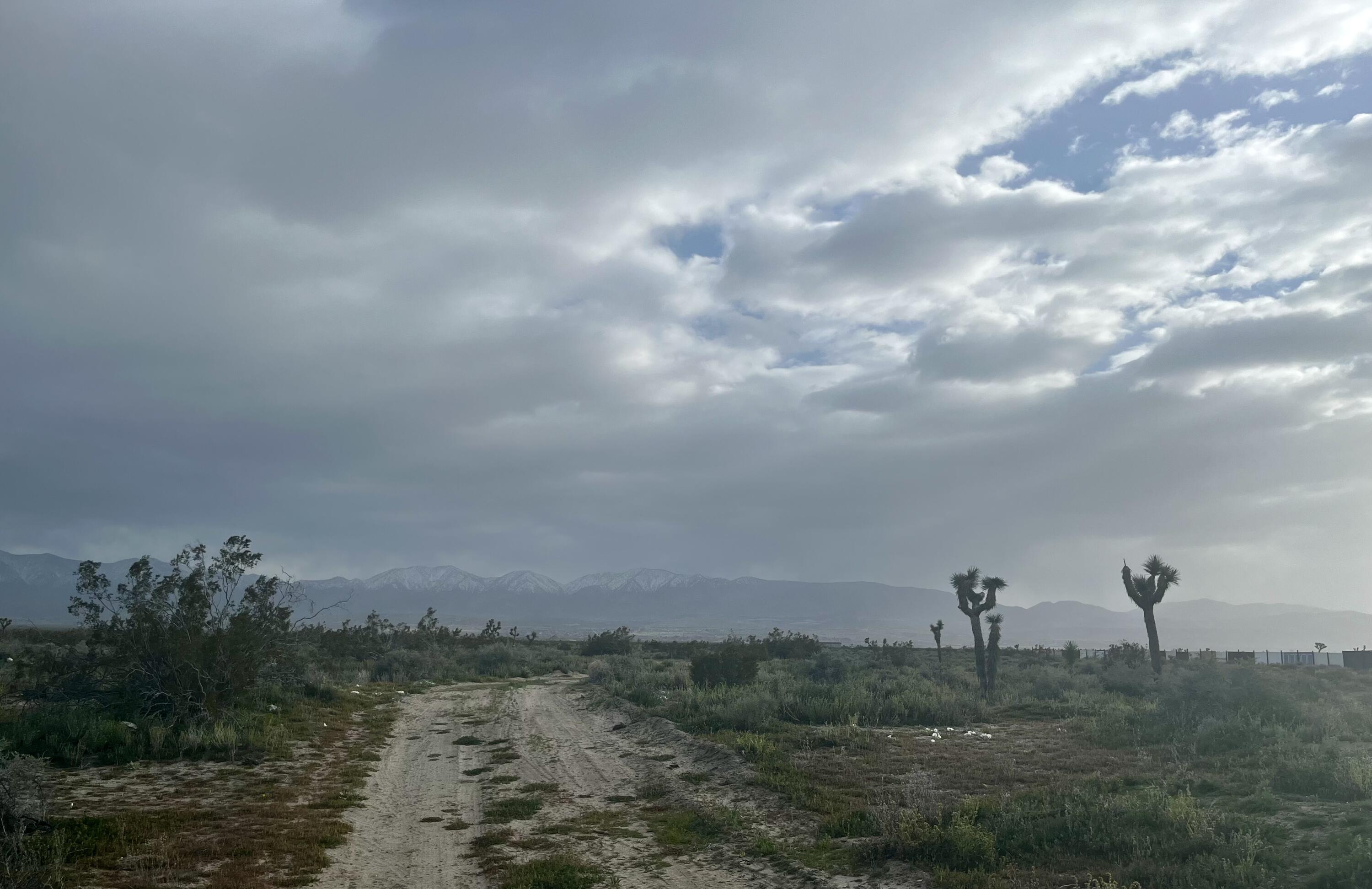 R12 Vic 132nd Sun Vlg Ca  