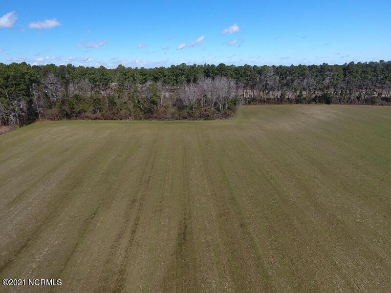 0 Near 242 Stack Turner Road Chadbourn, NC 28431 - Photo 5 of 10 Hooks 5