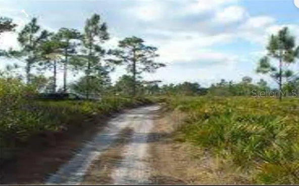 a view of a yard with plants and a bench