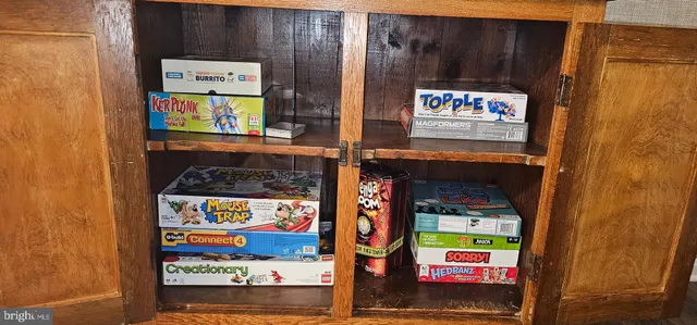 a view of a couches in the backyard