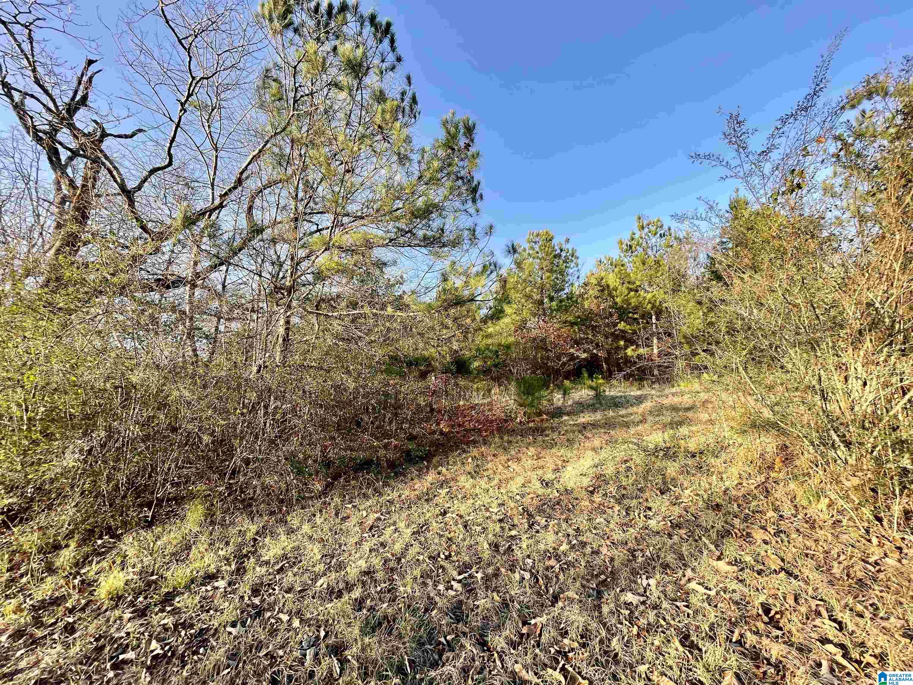 263 Westover Road Anniston, AL 36201 - Photo 21 of 61