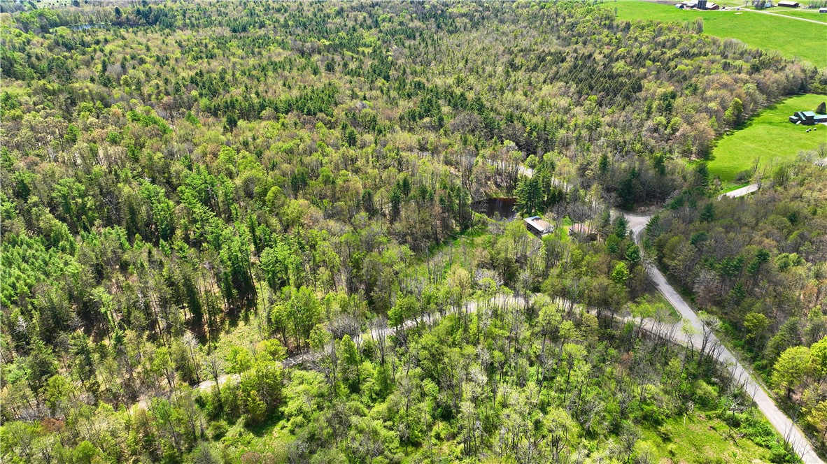 480 Buckley Hill Road Coventry, NY 13730 - Photo 26 of 39