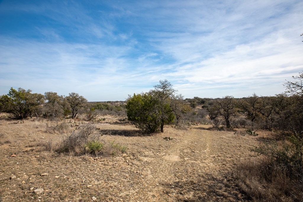 2 Salt Branch Loop, Unit 2 Doss, TX 78618 - Photo 3 of 6 Gallery Image 3
