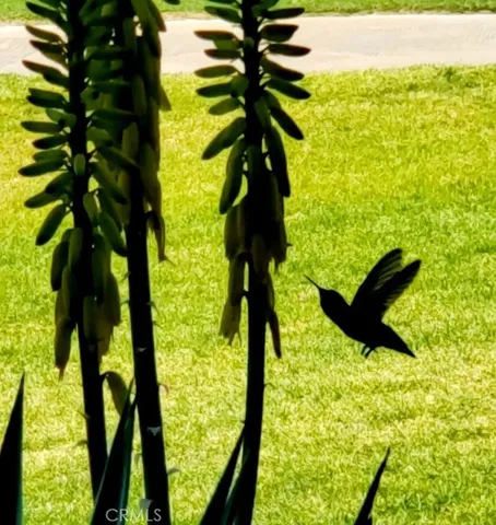 $3,475 | 2220 South Calle Palo Fierro, Unit 23, Palm Springs, CA 92264