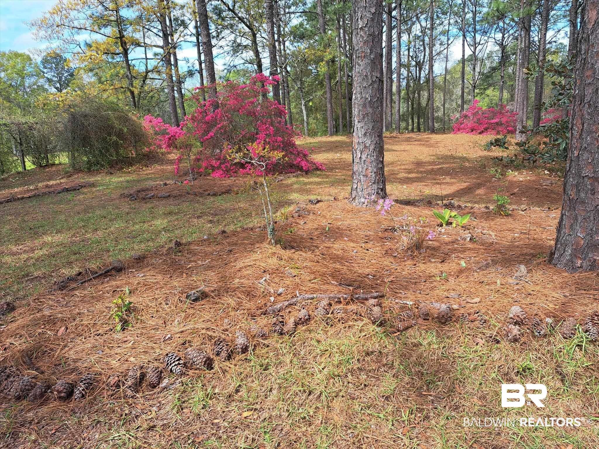 7650 Iron Rush Road Wilmer, AL 36587 - Photo 31 of 34 View of yard