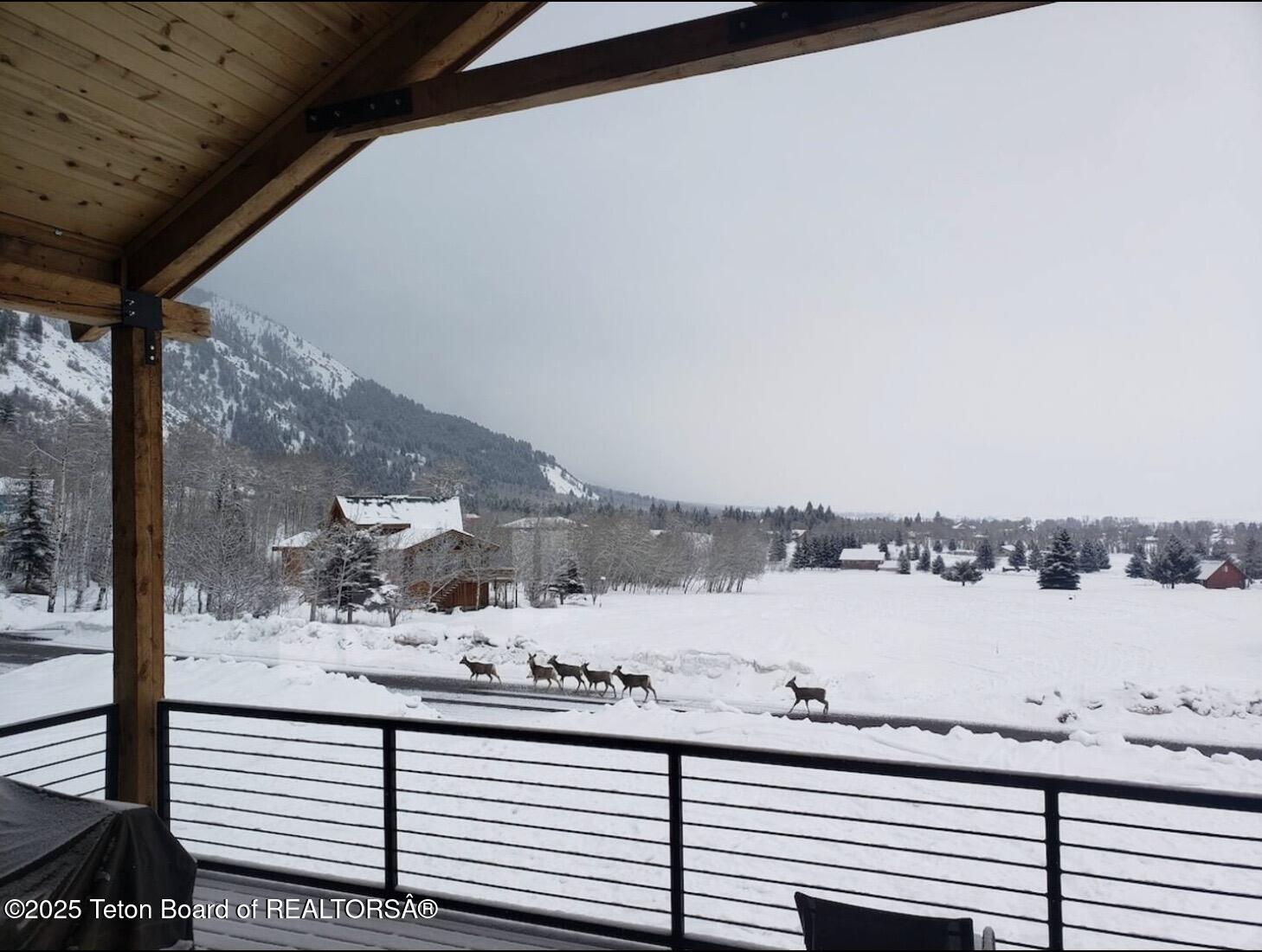 121 Canyon Pines Way Star Valley Ranch, WY 83127 - Photo 36 of 36 Wildlife in winter