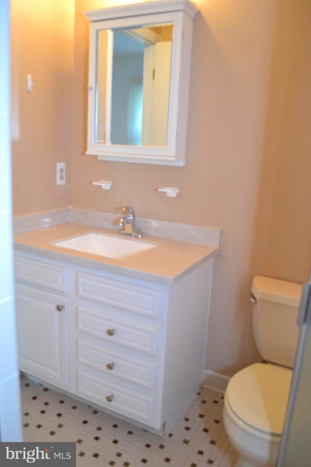 3673 Ridgeview Road Ijamsville, MD 21754 - Photo 10 of 26 New vanity!
