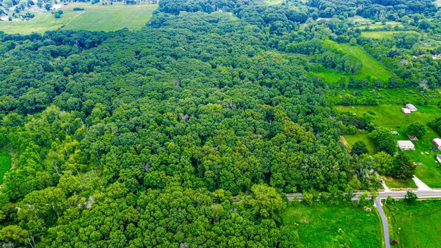 a view of a garden with a street