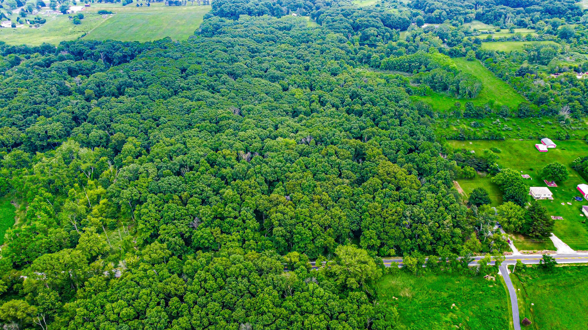a view of a garden with a street