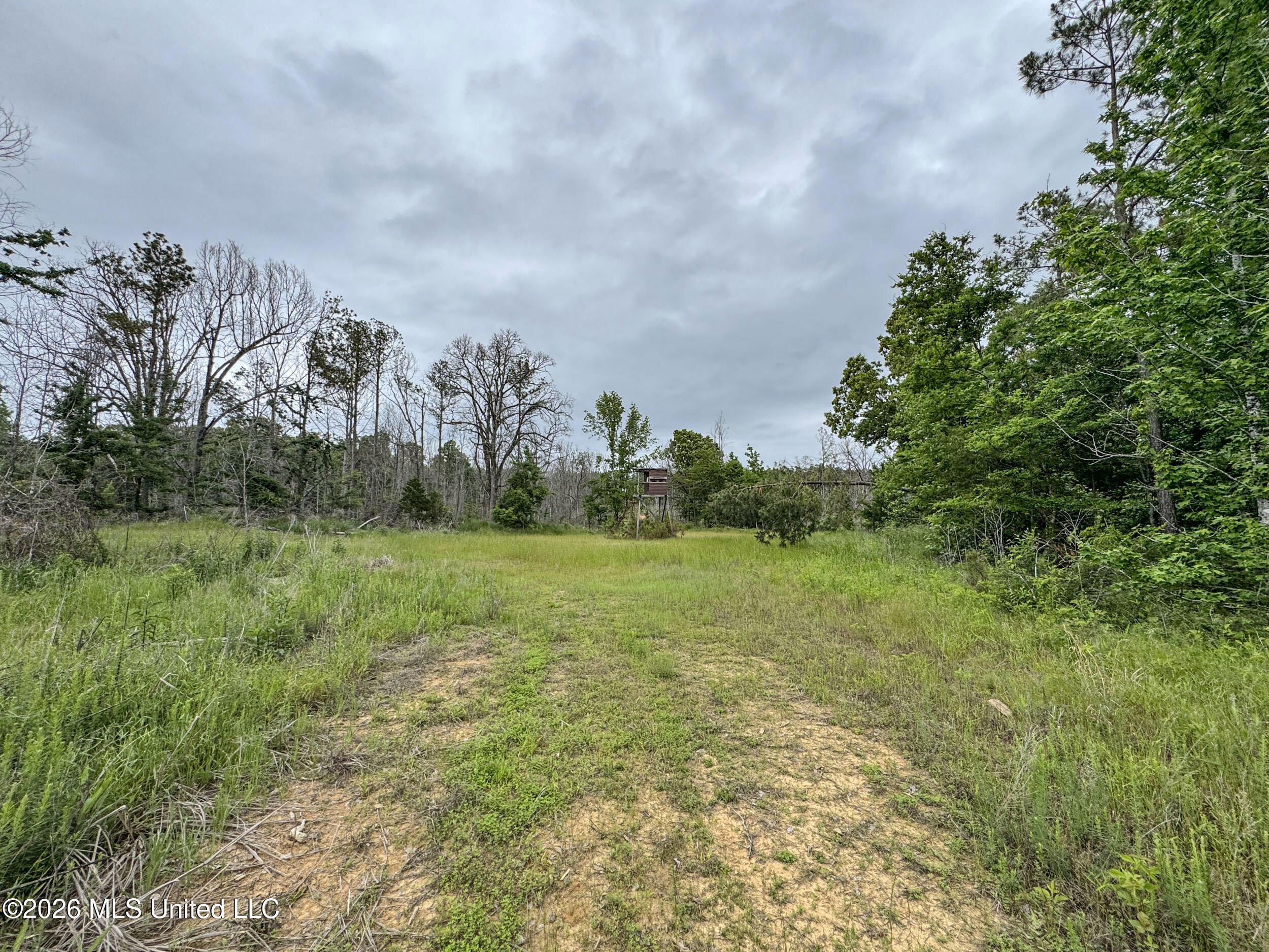 Wayne Massie Road Como, MS 38619 - Photo 161 of 184 5cdtbs107