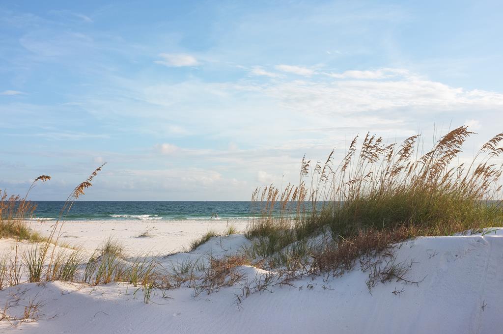 Lot 5 Labrador Drive Port St. Joe, FL 32456 - Photo 18 of 23