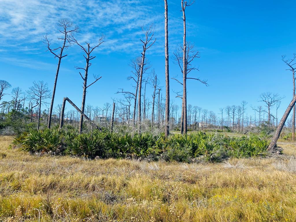 Lot 5 Labrador Drive Port St. Joe, FL 32456 - Photo 2 of 23