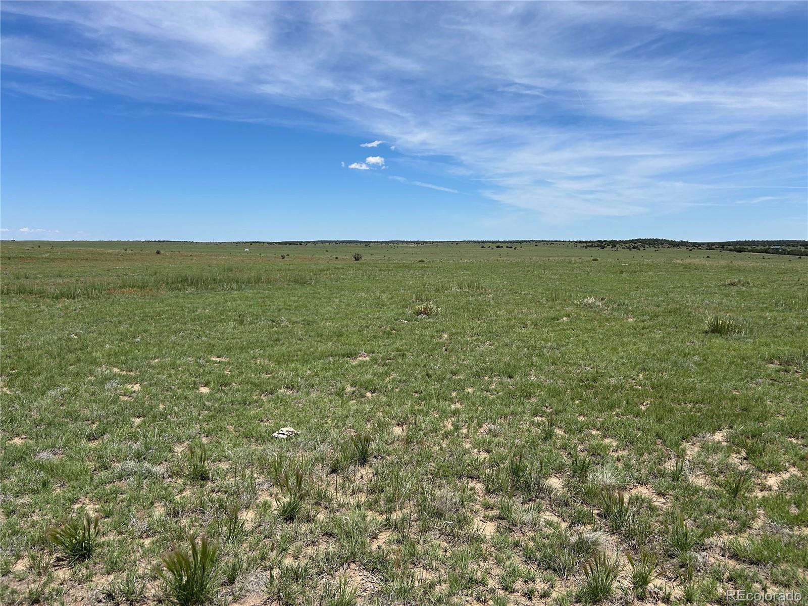 Lot 123 East Turkey Ridge Ranch Walsenburg, CO 81089 - Photo 5 of 13
