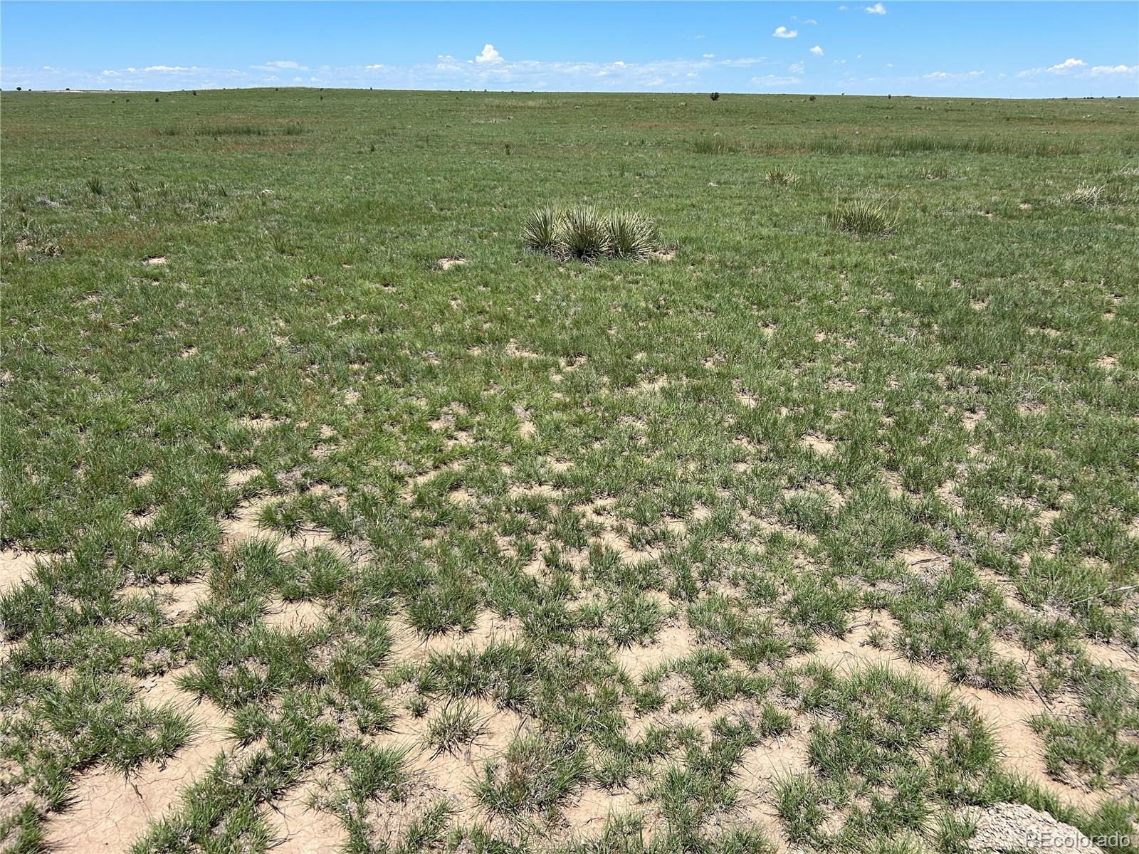 Lot 123 East Turkey Ridge Ranch Walsenburg, CO 81089 - Photo 7 of 13 a view of an ocean