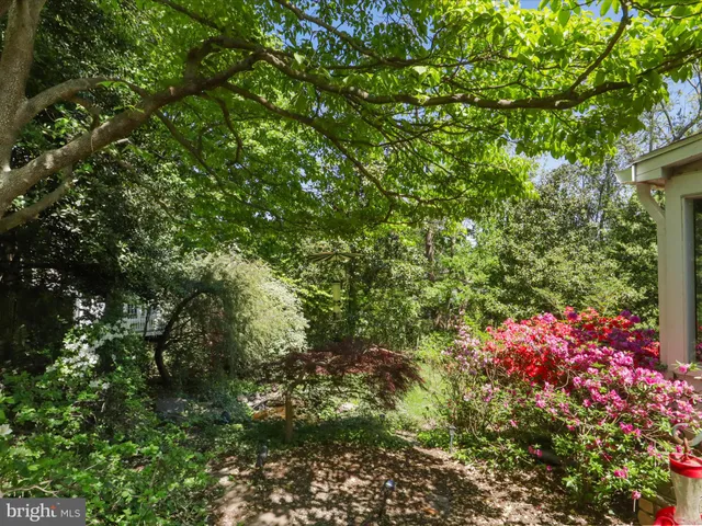 a view of a park with potted plants