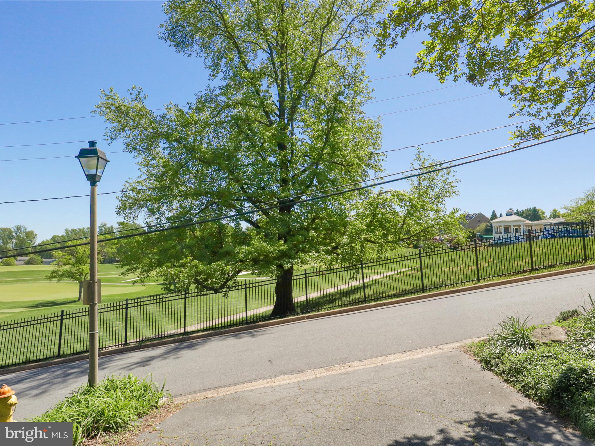 4725 Rock Spring Road Arlington, VA 22207 - Photo 46 of 59 a view of a park with potted plants