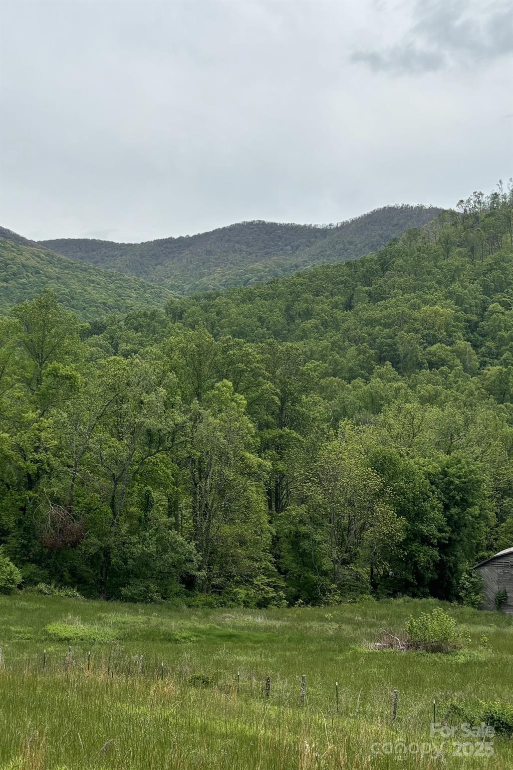 0 Cook Cove Road, Unit 2 Weaverville, NC 28787 - Photo 37 of 38 a view of a grassy field with trees