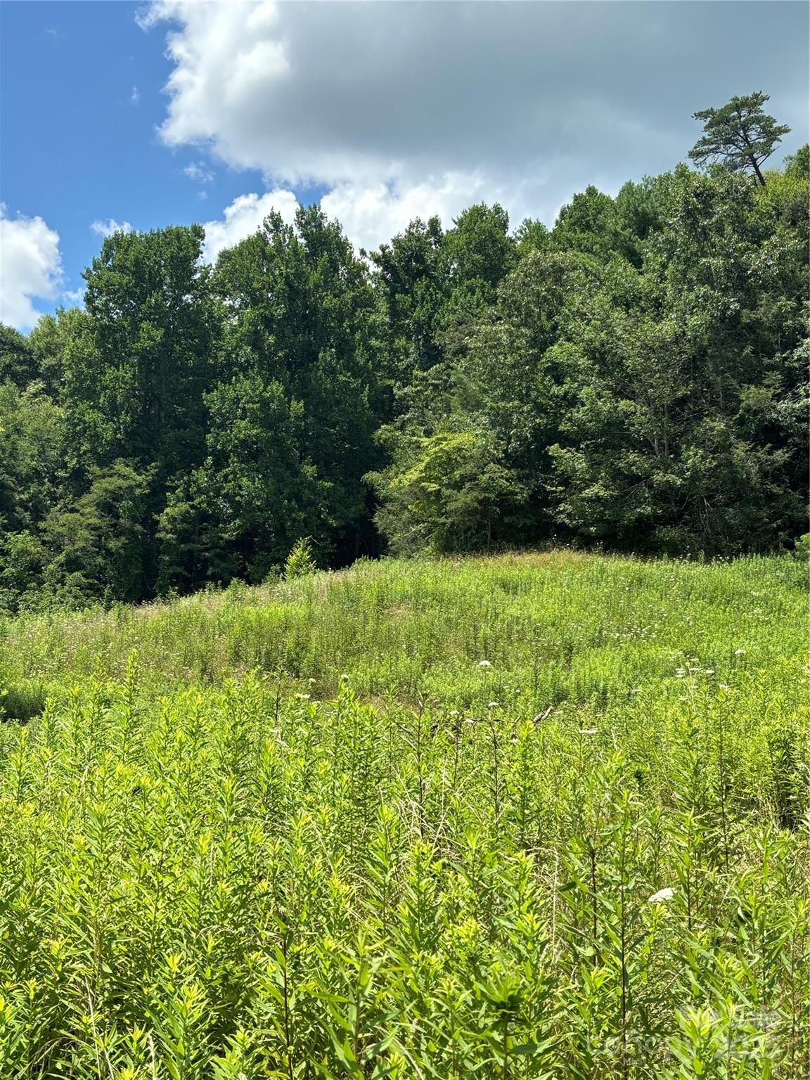0 Cook Cove Road, Unit 2 Weaverville, NC 28787 - Photo 38 of 38 a view of a garden with a building in the background