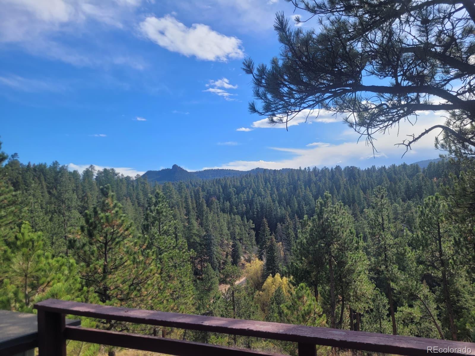 5162 South Rd A Evergreen, CO 80439 - Photo 15 of 26 a view of a yard from a window