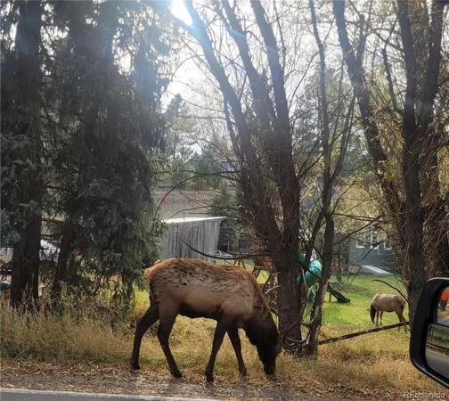 a view of backyard with a table and chairs