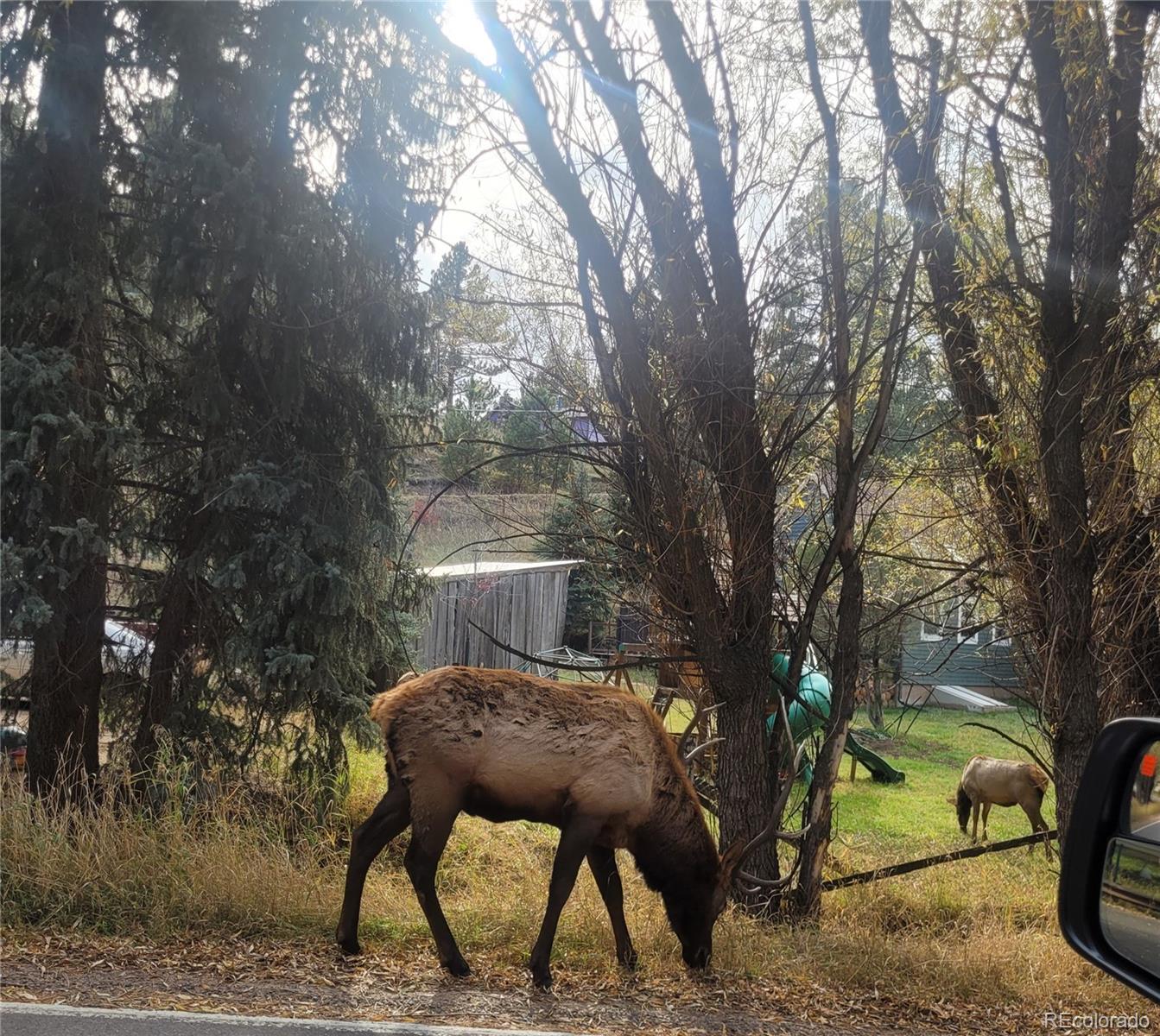 5162 South Rd A Evergreen, CO 80439 - Photo 20 of 26 a view of backyard with a table and chairs
