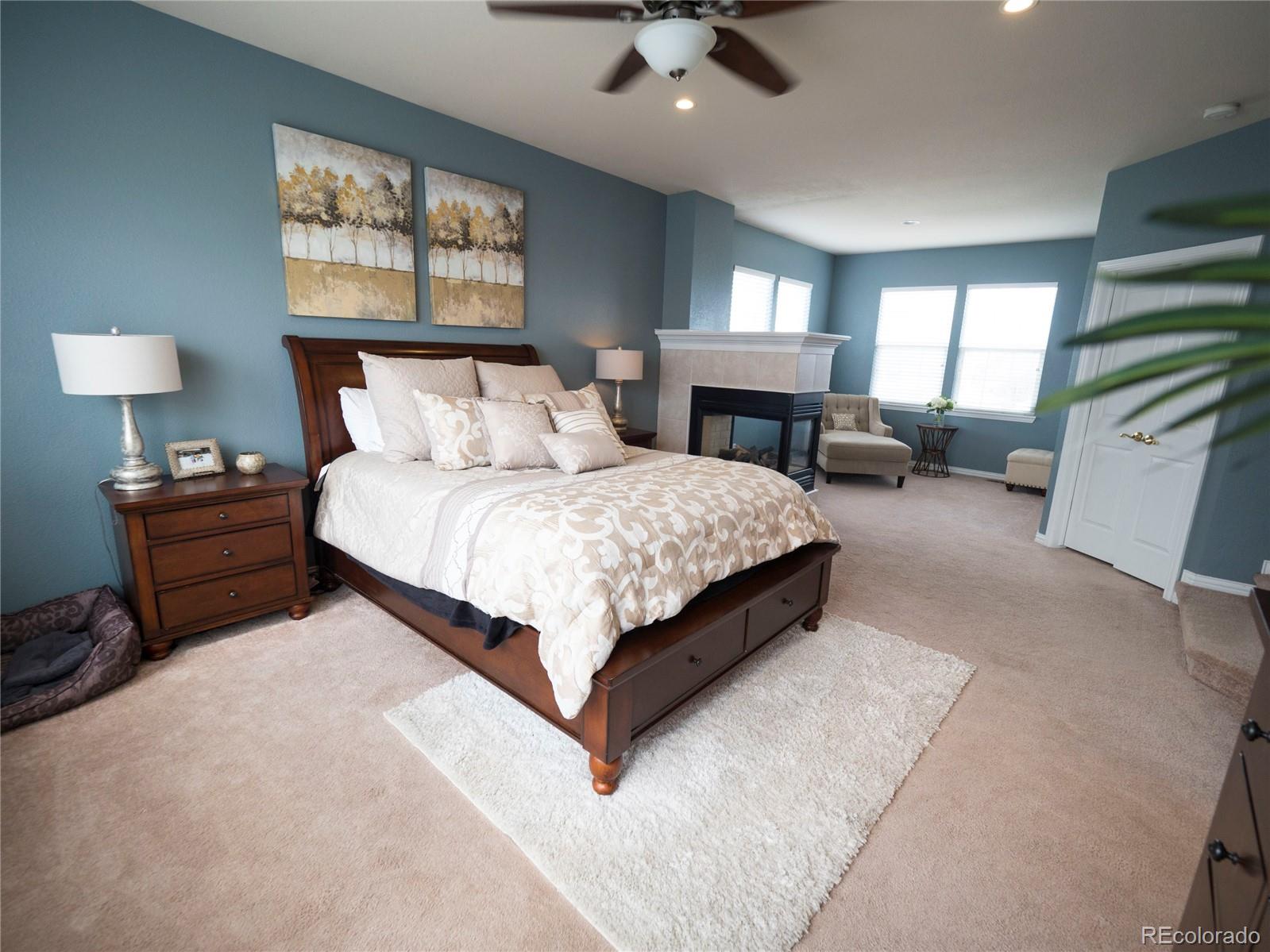 9787 Sylvestor Road Highlands Ranch, CO 80129 - Photo 17 of 35 Gallery Image 17