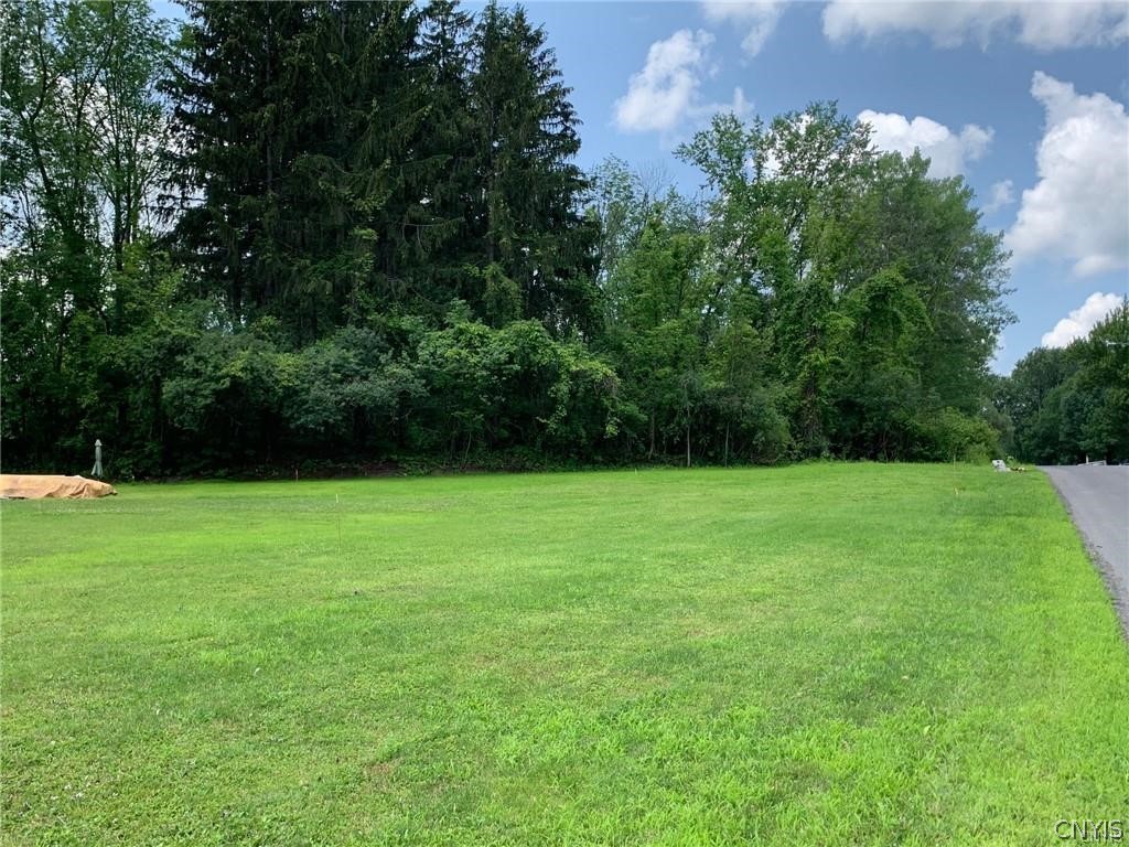 Nice level lot with utilities nearby!