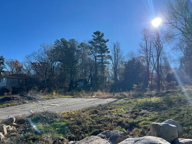 a view of a yard with a tree