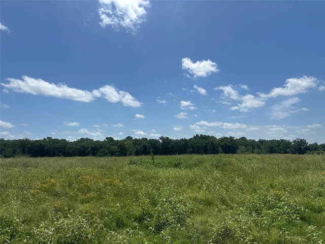 a view of a big yard with a house in back