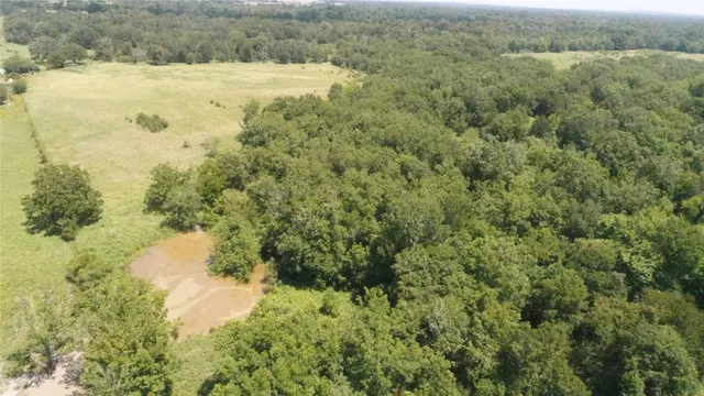 a view of a yard with a house