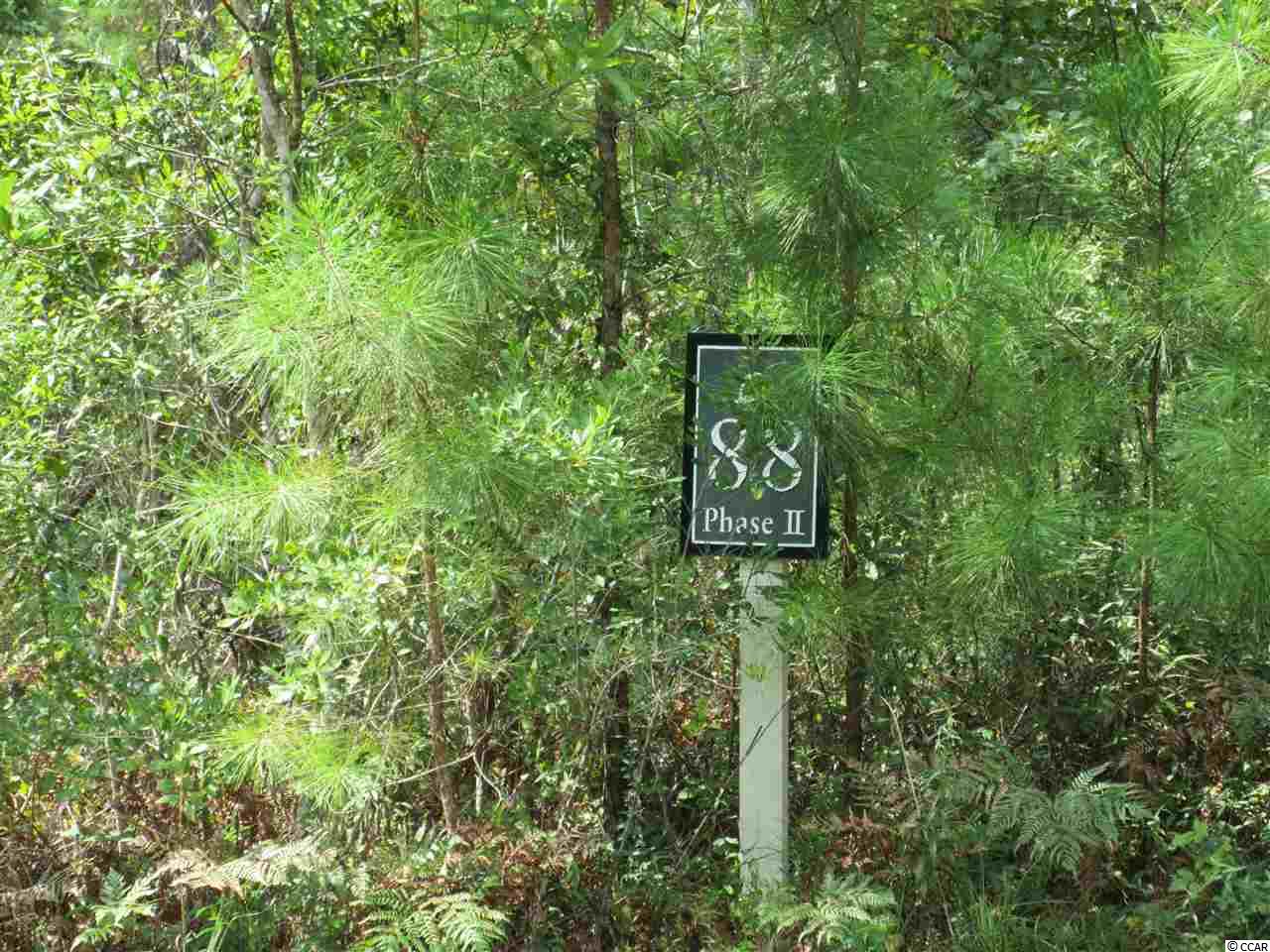 Creekview Court Murrells Inlet, SC 29576 - Photo 3 of 8
