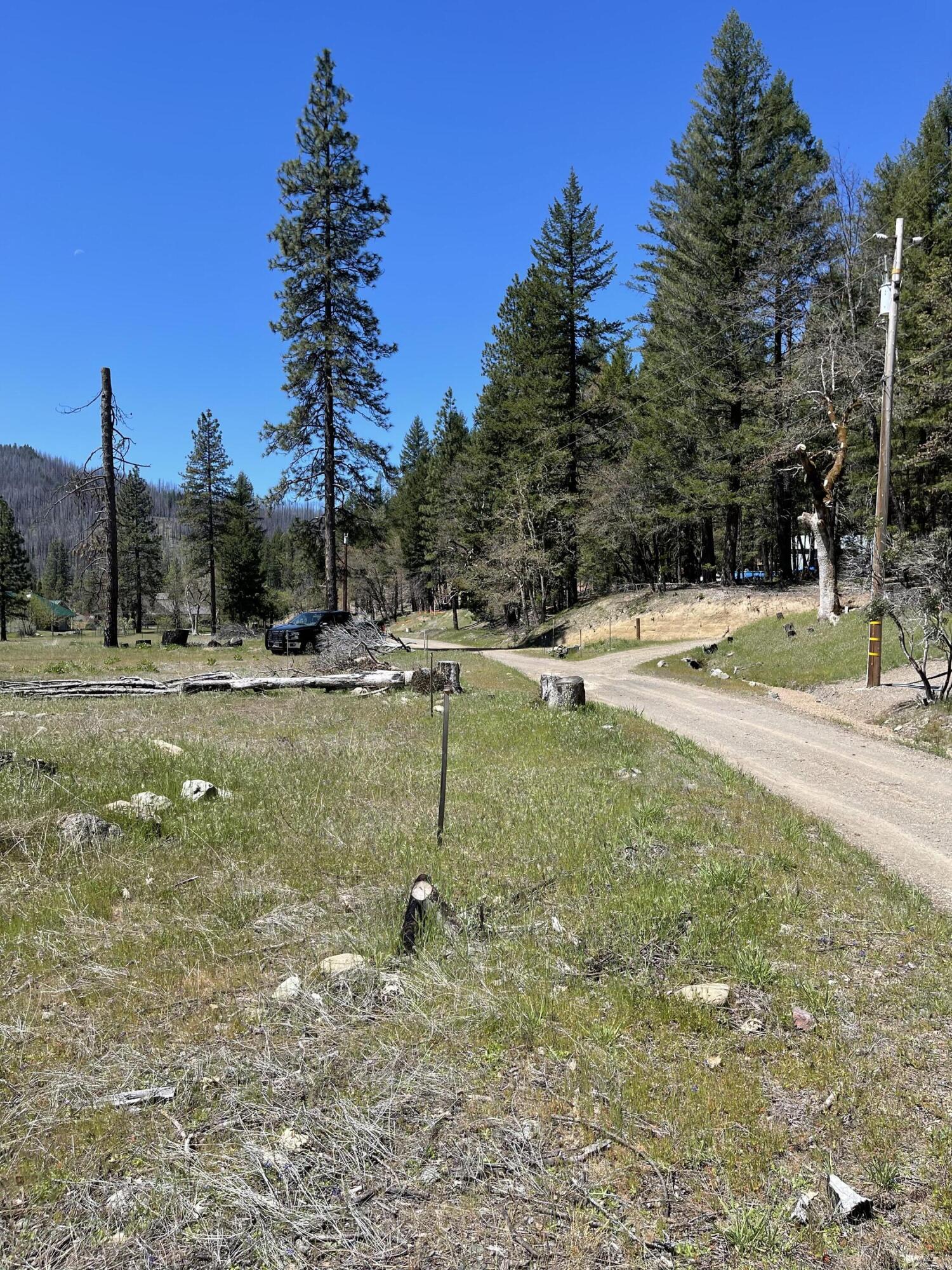 300 Cedar Gap Road Mad River, CA 95552 - Photo 2 of 11