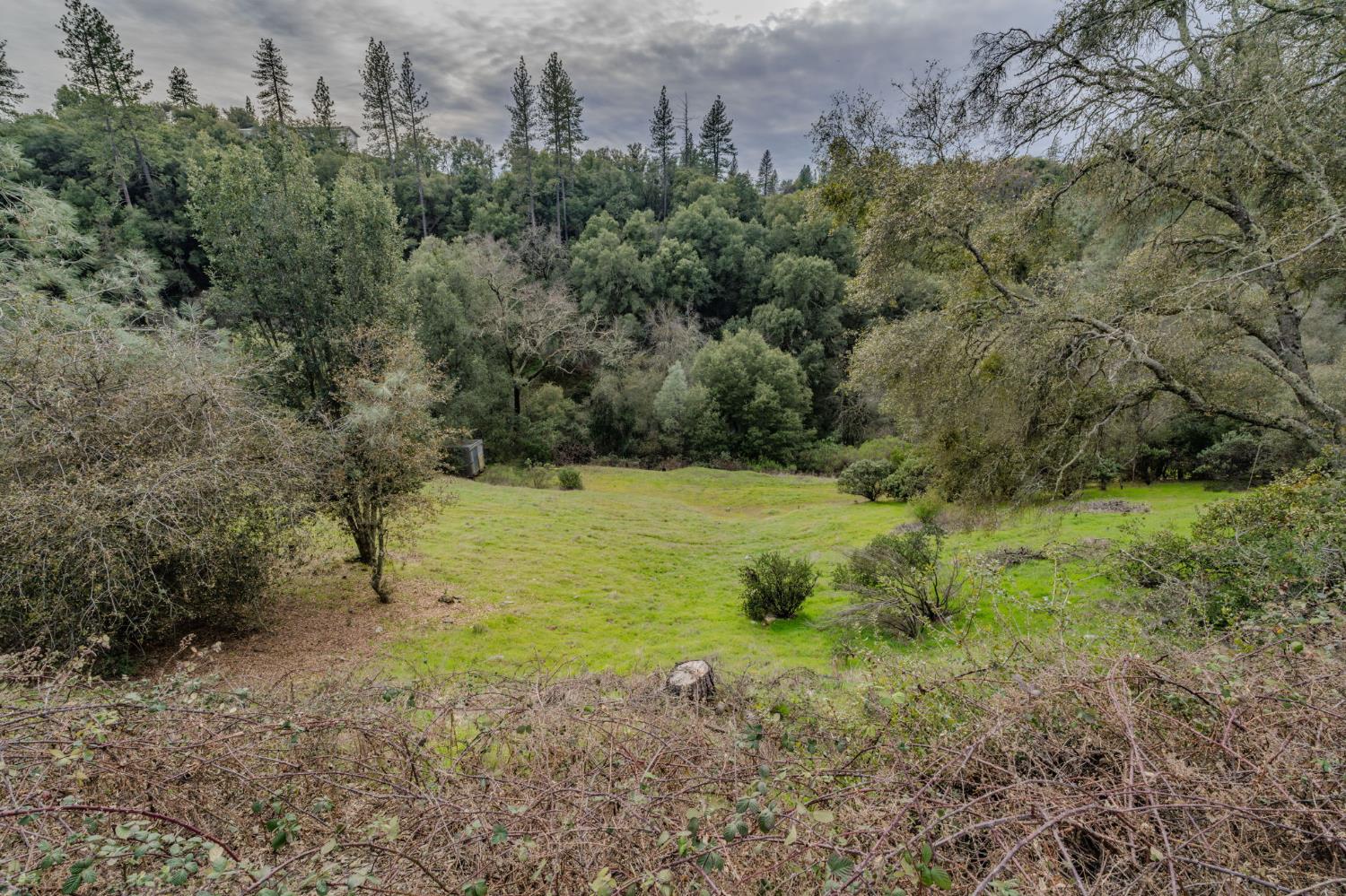 13890 Shake Ridge Road Sutter Creek, CA 95685 - Photo 47 of 66
