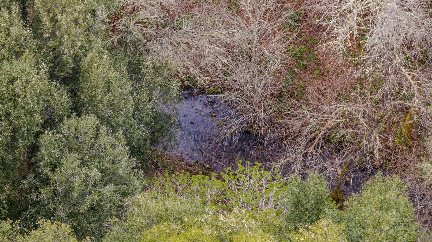 13890 Shake Ridge Road Sutter Creek, CA 95685 - Photo 58 of 66