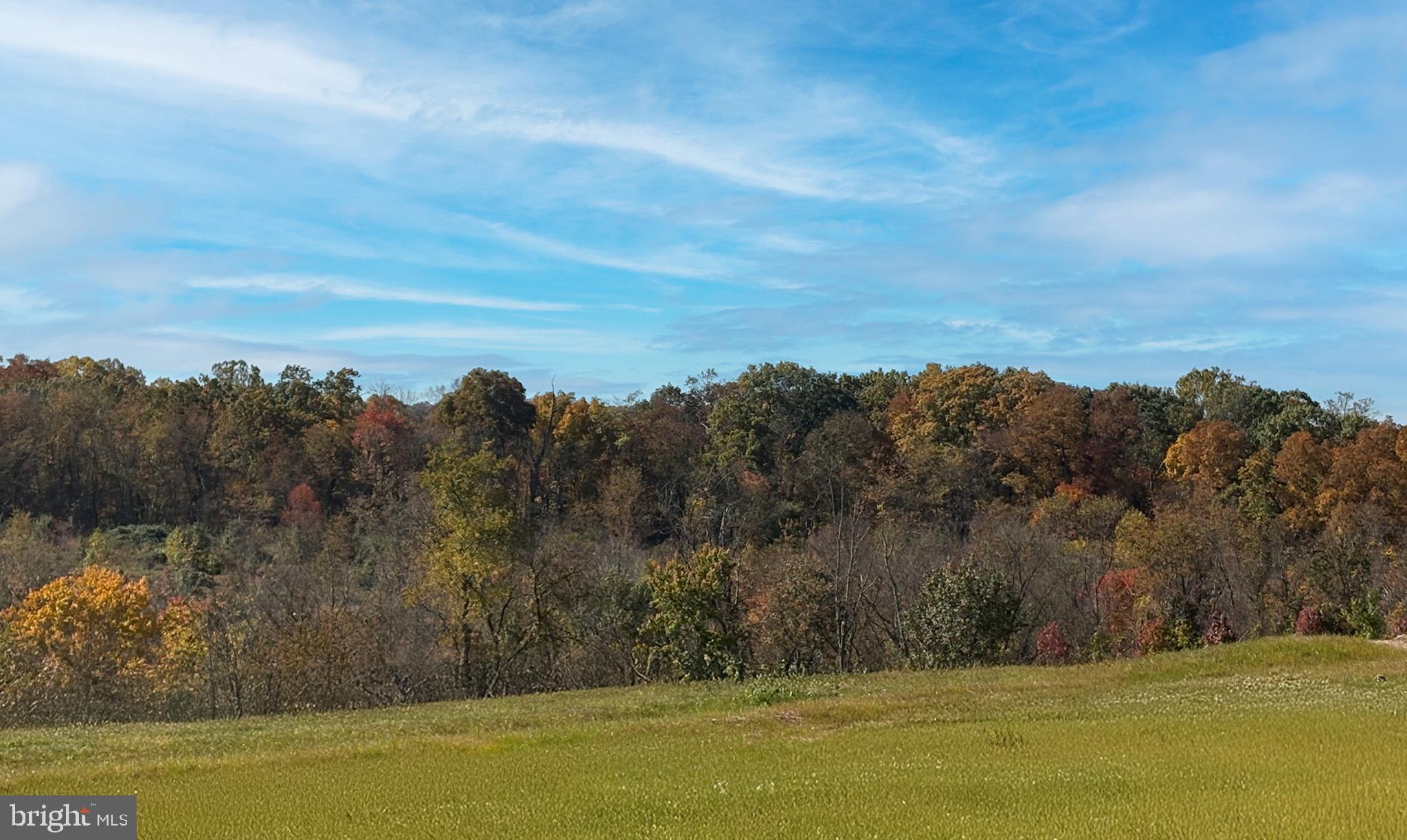 14610 Sourgum Road Boyds, MD 20841 - Photo 49 of 52 Gallery Image 49