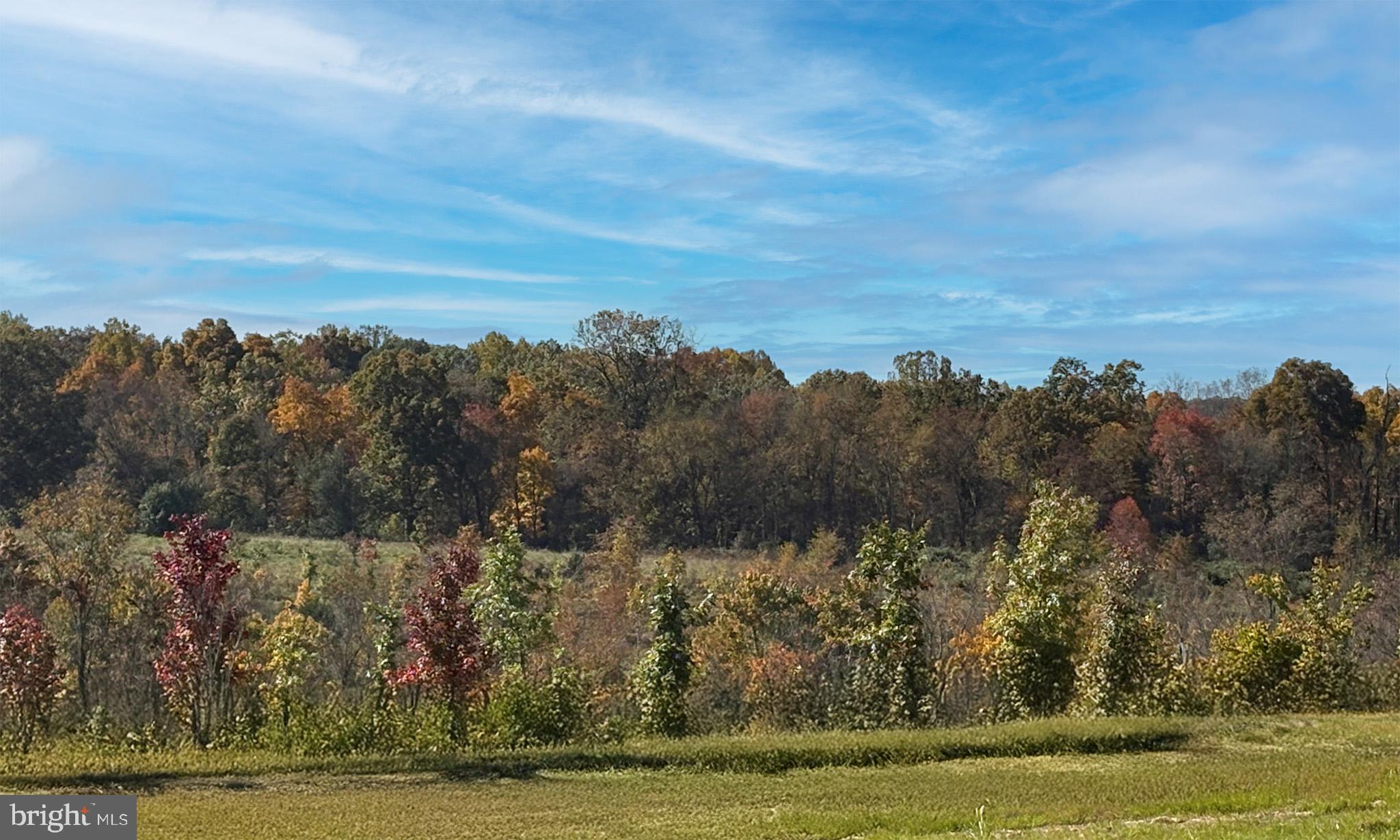 14610 Sourgum Road Boyds, MD 20841 - Photo 51 of 52 Gallery Image 51