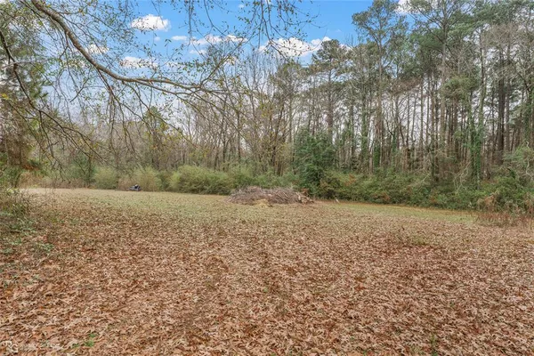 a view of a yard with a tree