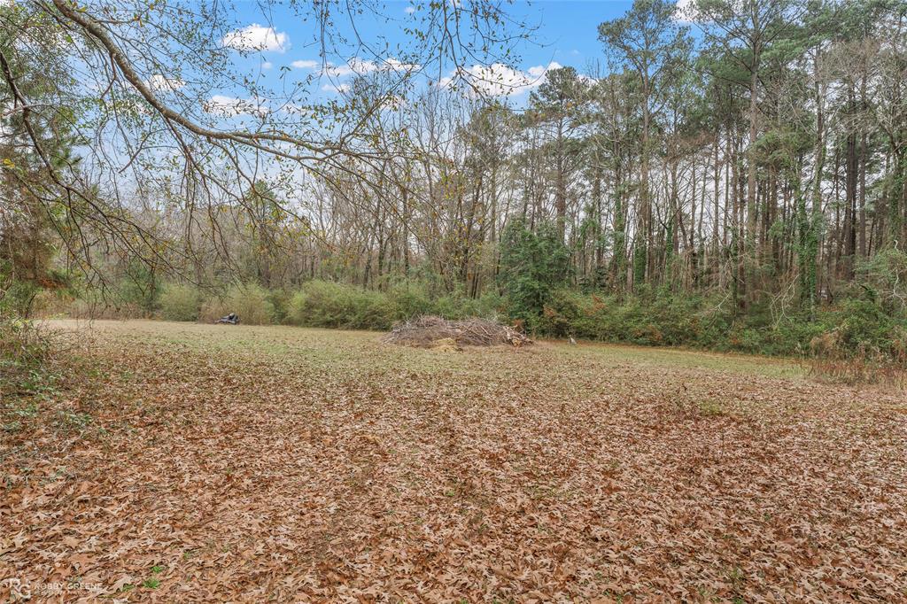 302 Princeton Road Princeton, LA 71067 - Photo 5 of 33 a view of a yard with a tree