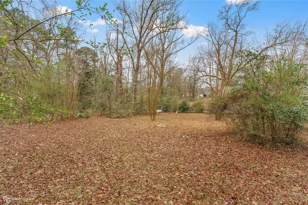 a view of outdoor space and yard