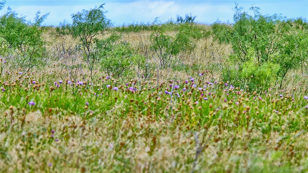 576 Seabourn Road Henrietta, TX 76365 - Photo 9 of 39