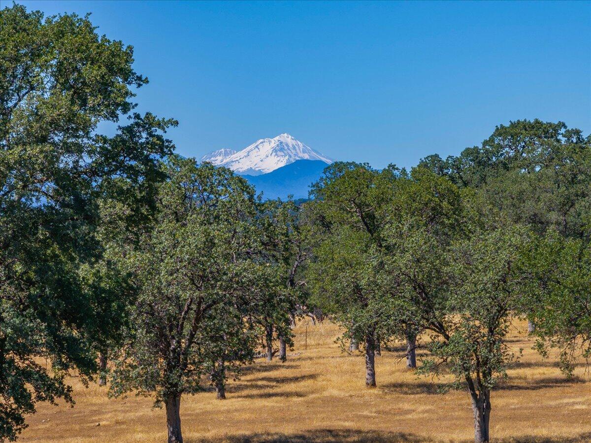 4905 Parkville Road Anderson, CA 96007 - Photo 45 of 46 40-4905 Parkville Rd - E-23