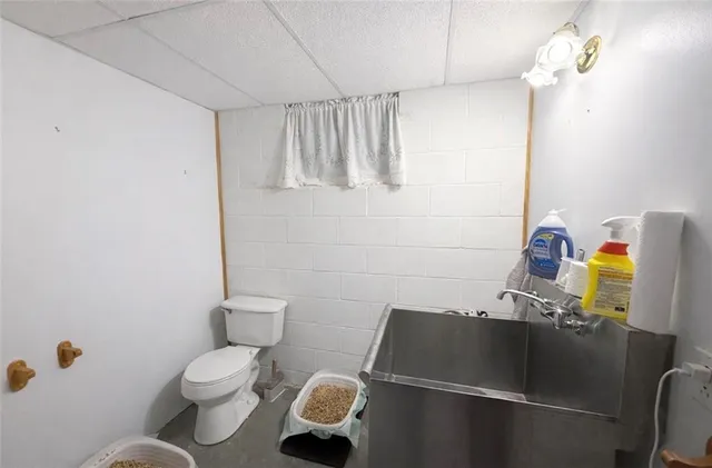 a bathroom with a sink and a toilet