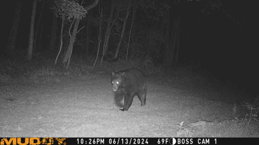 180 Hemlock Road Petrolia, PA 16050 - Photo 25 of 25 a picture of a room