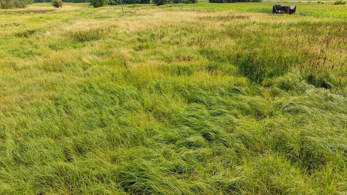 0 County Rd K Boyceville, WI 54725 - Photo 11 of 26 Gallery Image 11