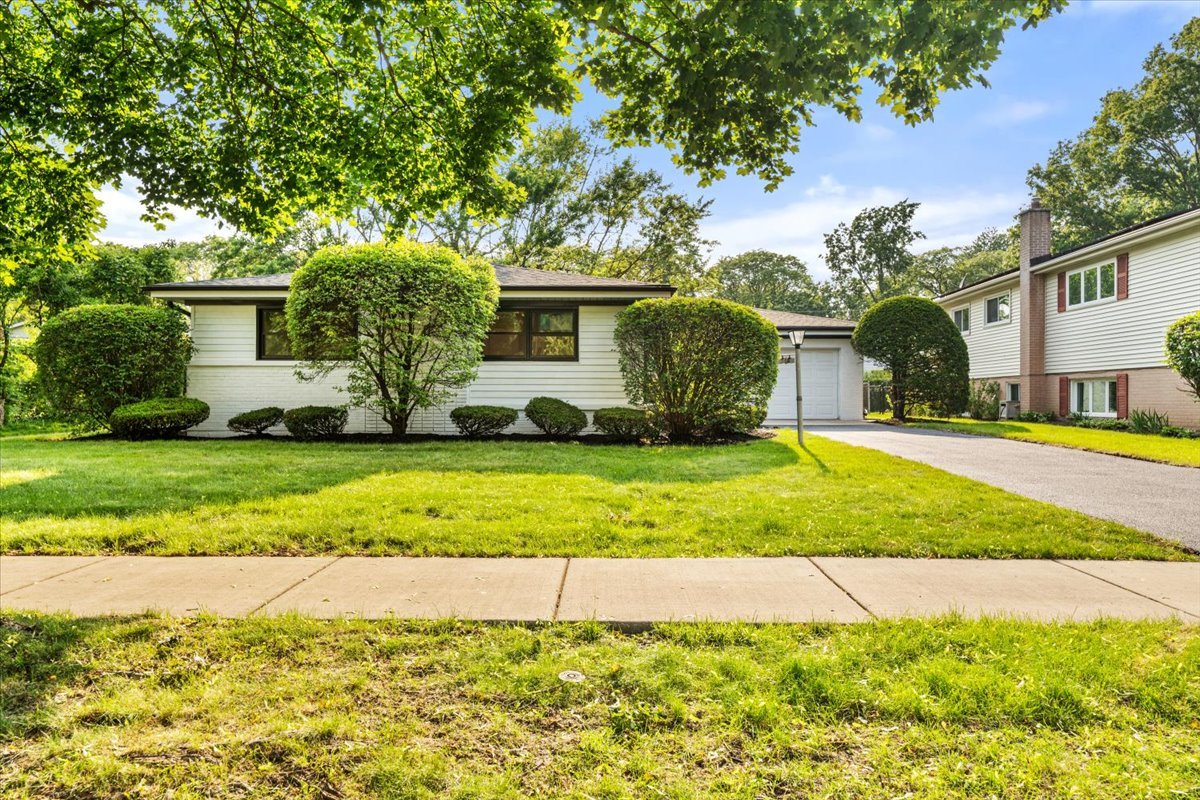114 South Waverly Place Mount Prospect, IL 60056 - Photo 3 of 48