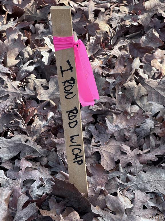 1116 East Springfield Road Sullivan, MO 63080 - Photo 32 of 33