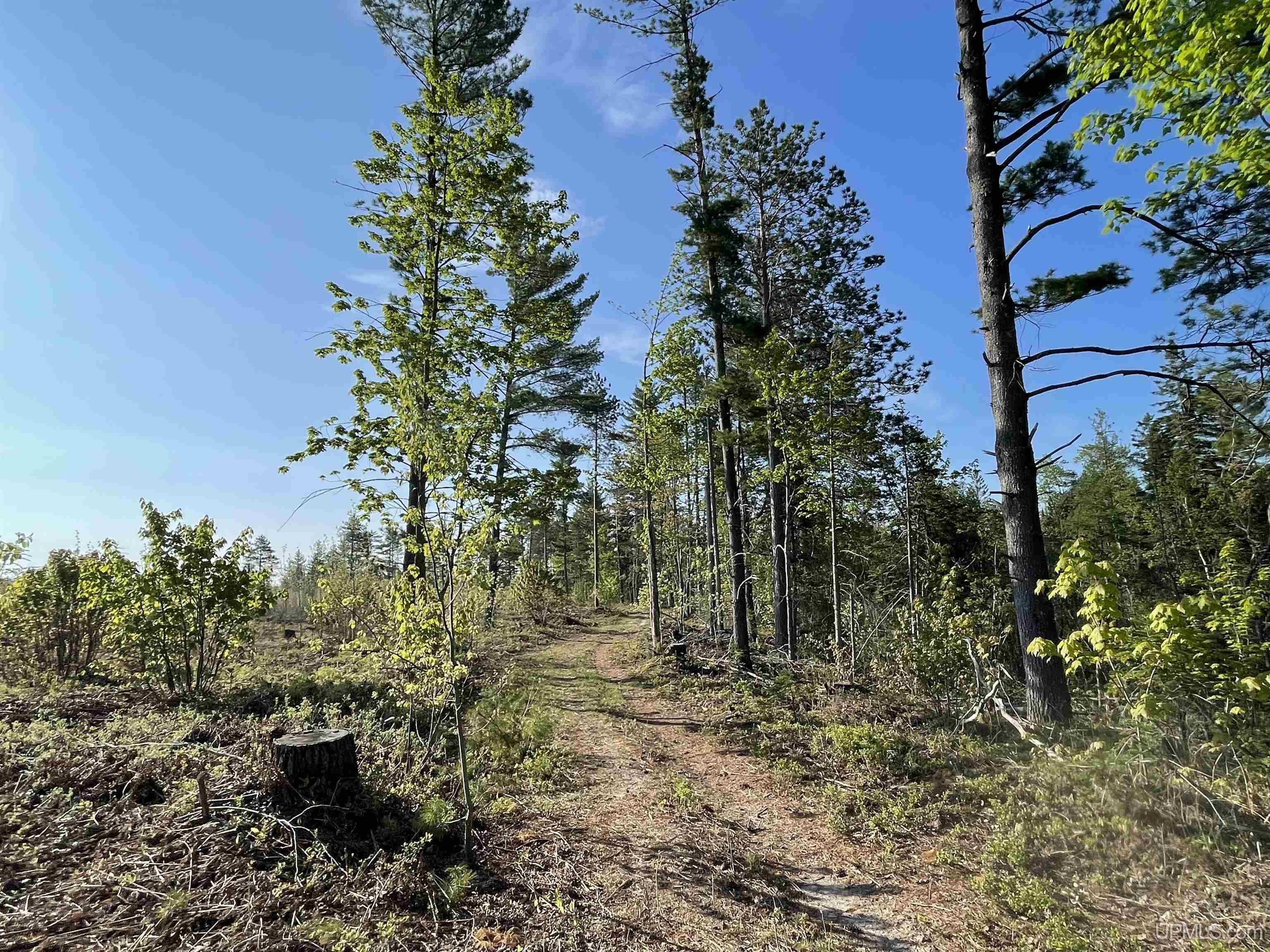 Tbd Tbd Hay Meadow Road Manistique, MI 49854 - Photo 33 of 51