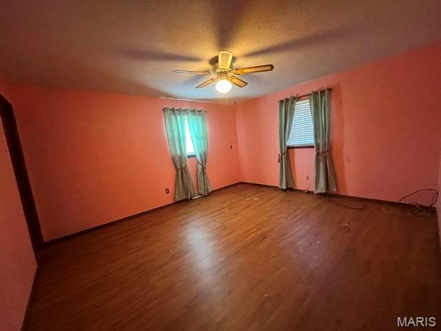 11799 County Road 637 Dexter, MO 63841 - Photo 9 of 18